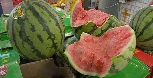 快速吃瓜视频教程大全下载,轻松掌握瓜界潮流技巧