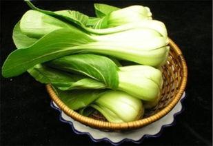 酱乳瓜可做什么菜吃呢视频,创意家常菜制作指南