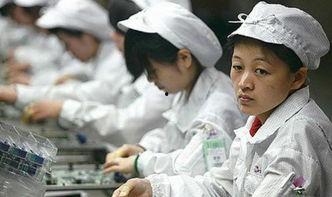 河南富士康吃瓜事件视频,揭秘员工食堂争议背后的真相