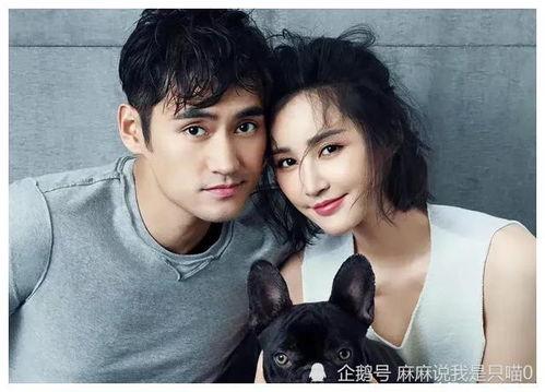 吃瓜视频爆料明星有哪些