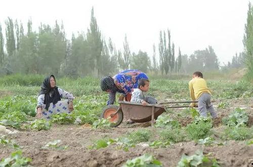 河石坝吃瓜群众视频大全