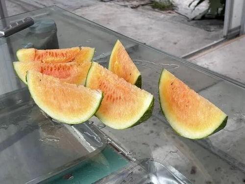 到农村吃瓜视频,探寻农村吃瓜的独特魅力