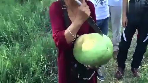 内蒙父女吃瓜视频大全集