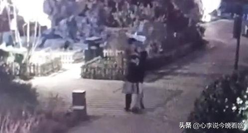 今日份吃瓜完整视频