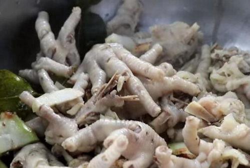 姑姑吃五瓜鸡爪视频,姑姑的独家烹饪秘籍大公开
