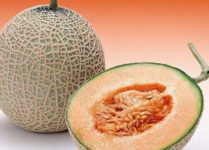 绣眼吃哈密瓜好吗视频大全,视频大全揭秘美味佳肴