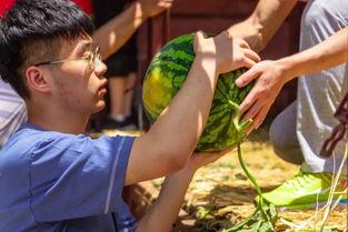 西亚斯吃瓜视频,揭秘校园生活趣味瞬间