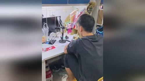 扫楼表哥吃瓜视频下载,揭秘网红幕后生活