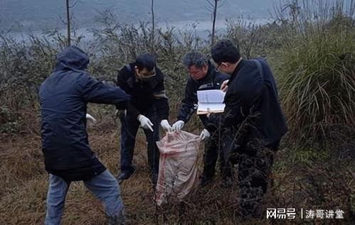 郑州碎尸案吃瓜视频播放,吃瓜视频背后的真相与反思