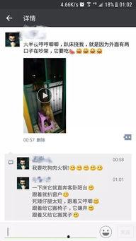 在家吃长瓜视频,简单易学，轻松享受田园风味