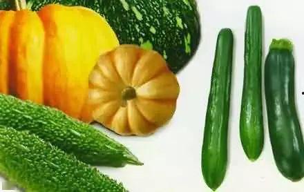 黄梅老佛吃瓜视频大全下载,趣味横生的娱乐盛宴